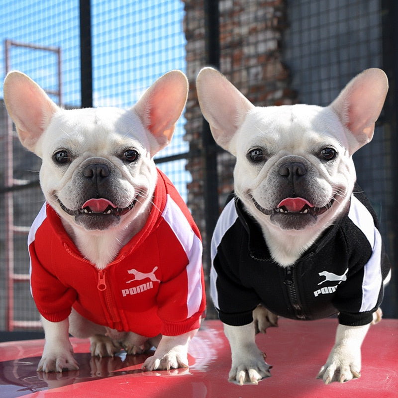 Baseball Dog Jacket Winter Dog Clothes for Small Medium Dogs Puppy Pet