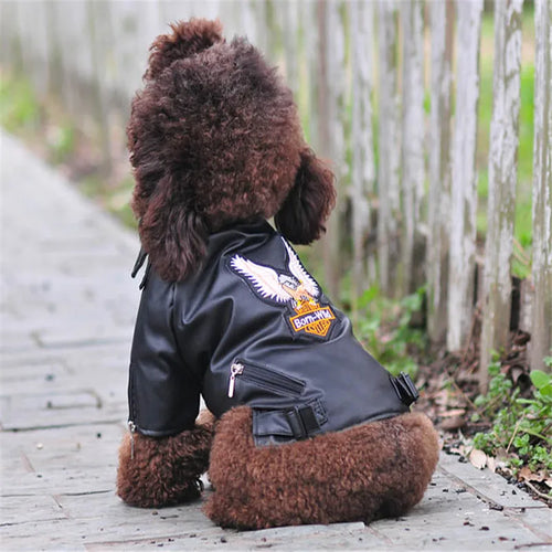 Glorious Eagle Pattern Dog Coat PU Leather Jacket Soft Waterproof