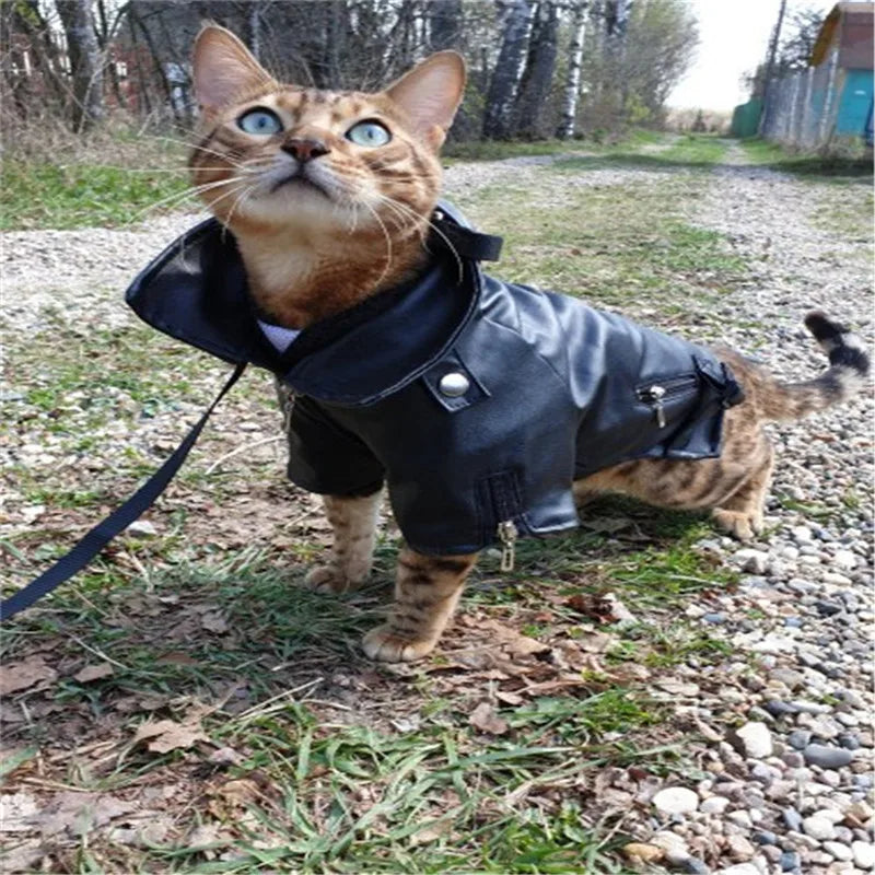 Glorious Eagle Pattern Dog Coat PU Leather Jacket Soft Waterproof