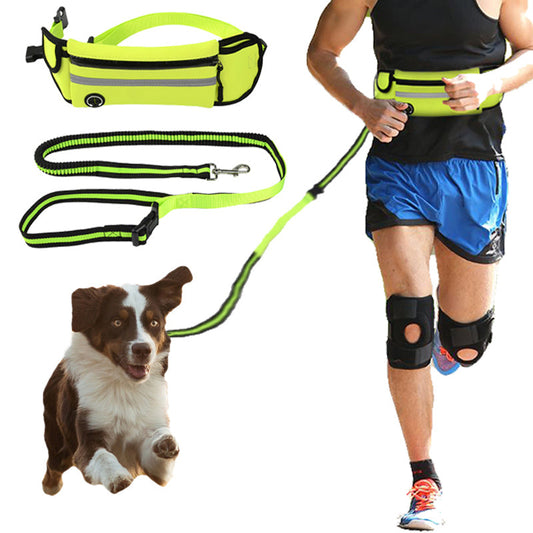 waterproof pet waist bag