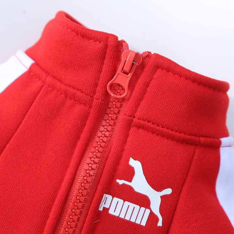 Baseball Dog Jacket Winter Dog Clothes for Small Medium Dogs Puppy Pet