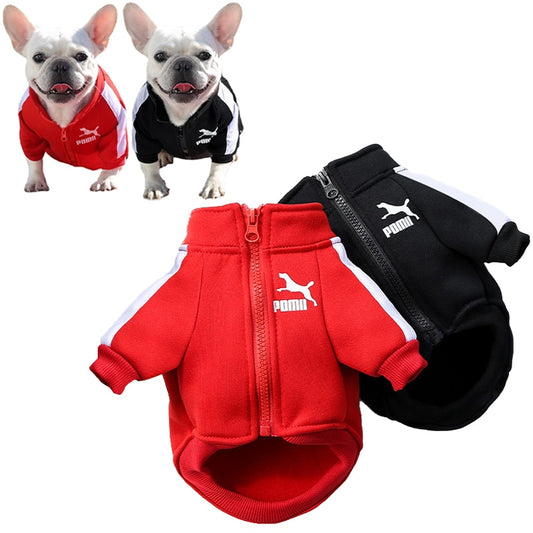 Baseball Dog Jacket Winter Dog Clothes for Small Medium Dogs Puppy Pet