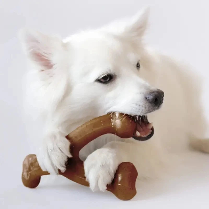 Dog Molar Chew Toys Nearly Indestructible Natural Non-Toxic Anti-bite