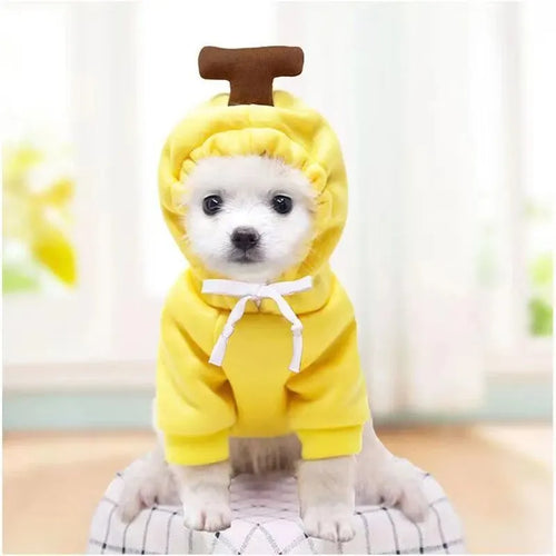 Cute Dog Hoodie Pet Fruit Clothes Funny Dog Cat Coats with Hat