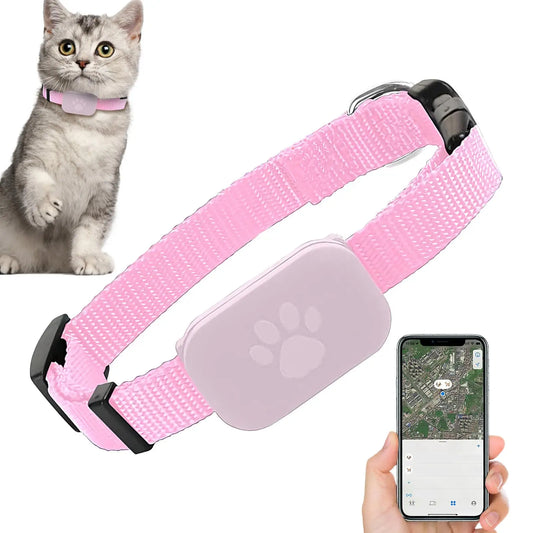 Kitten GPS Tracking Collar