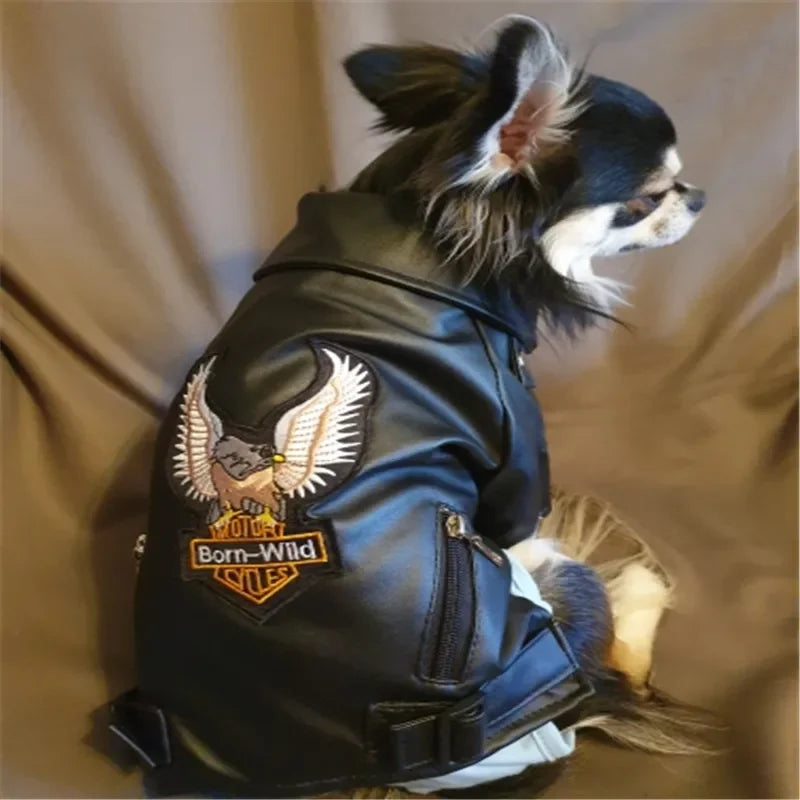 Glorious Eagle Pattern Dog Coat PU Leather Jacket Soft Waterproof