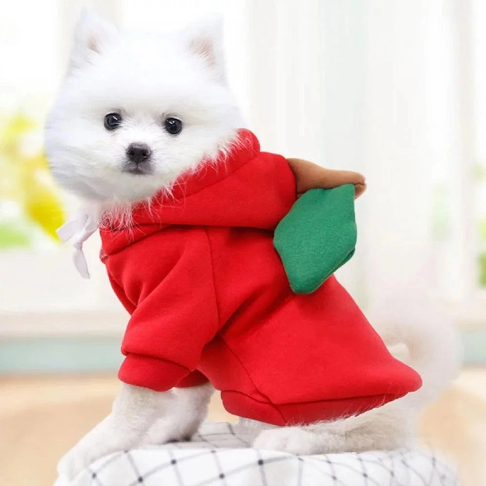 Cute Dog Hoodie Pet Fruit Clothes Funny Dog Cat Coats with Hat