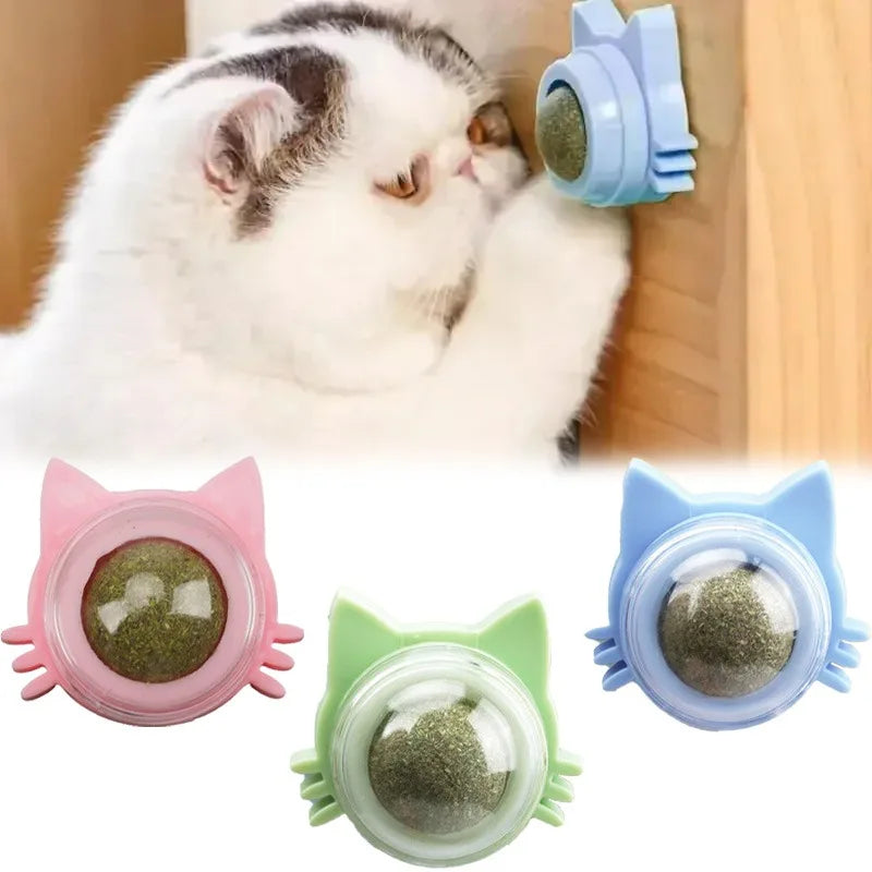 Catnip Balls Funny Lickable Dental Chew Toys for Kittens Interactive