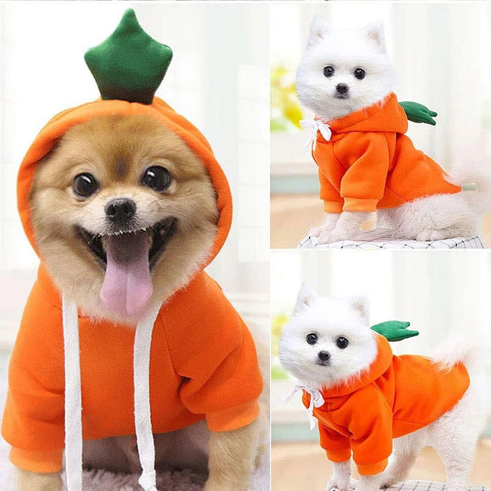 Cute Dog Hoodie Pet Fruit Clothes Funny Dog Cat Coats with Hat
