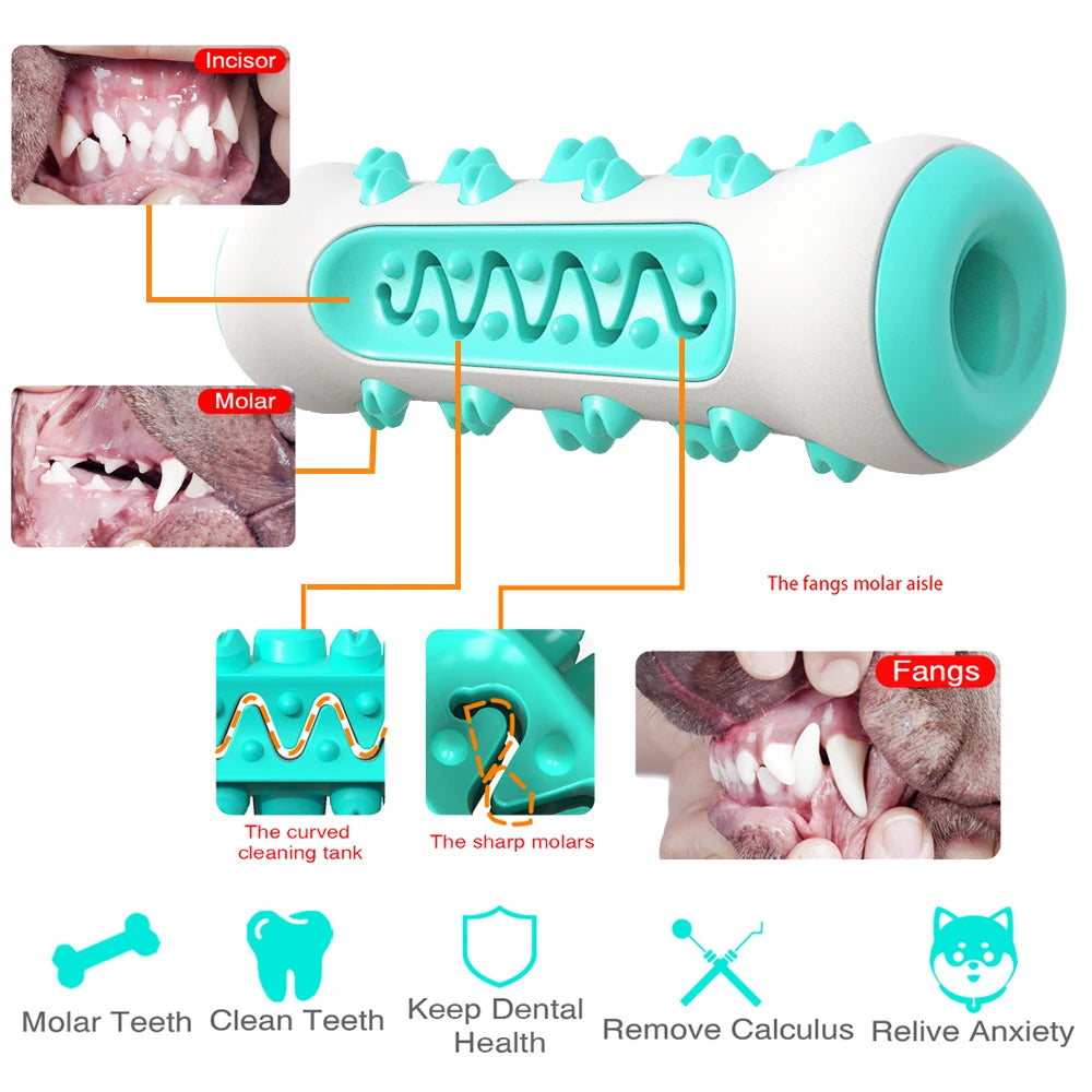 Dog Molar Toothbrush Pet Chew Toy For Small Big Dogs Bite-resistance