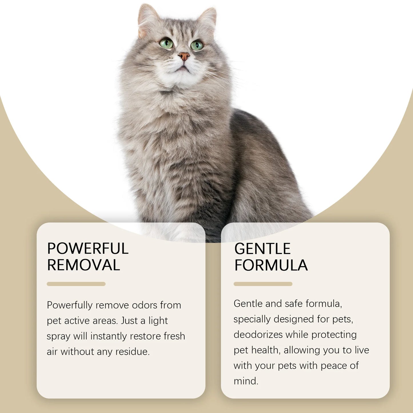 Coconut Scent Pet Deodorization Spray for Dogs and Cats Eliminating