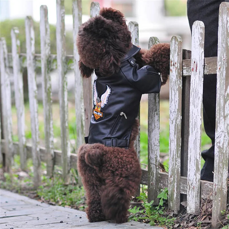 Glorious Eagle Pattern Dog Coat PU Leather Jacket Soft Waterproof