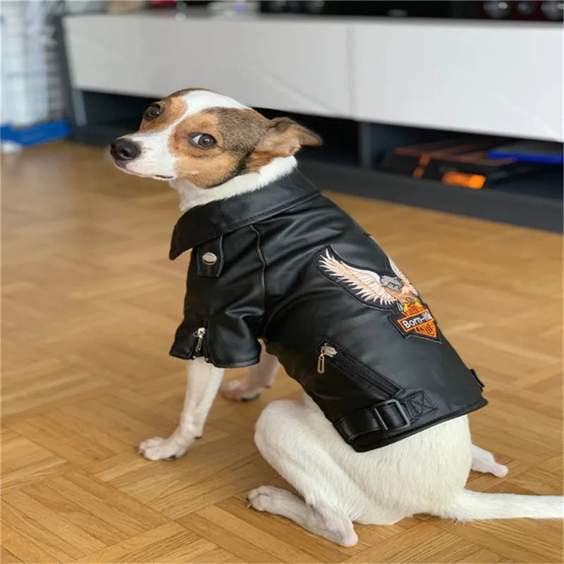 Glorious Eagle Pattern Dog Coat PU Leather Jacket Soft Waterproof