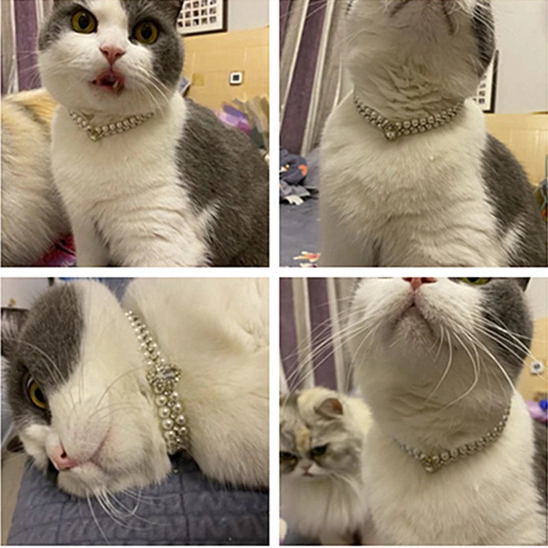 Luxury Cat Puppy Pearl Necklace Rhinestone Collar for Cats Small Dogs