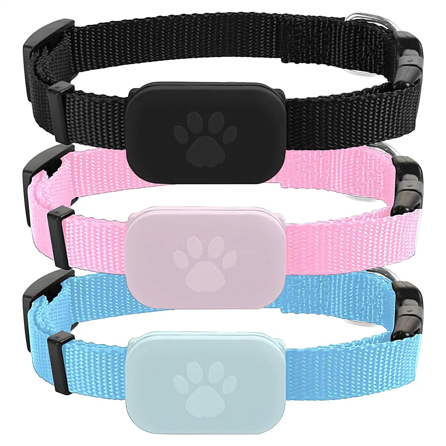 Kitten GPS Tracking Collar