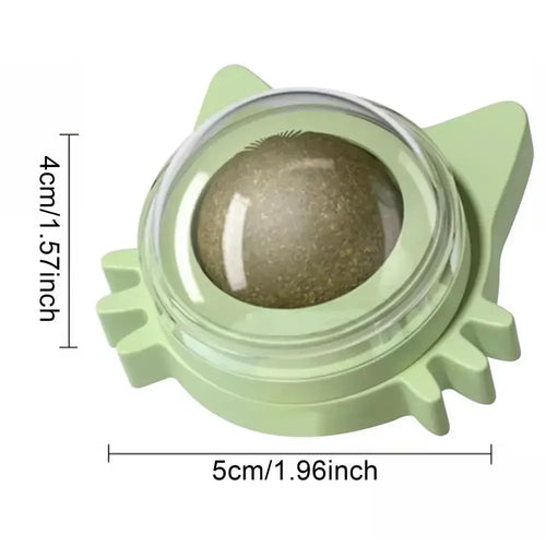 Catnip Balls Funny Lickable Dental Chew Toys for Kittens Interactive