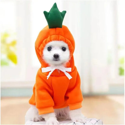 Cute Dog Hoodie Pet Fruit Clothes Funny Dog Cat Coats with Hat