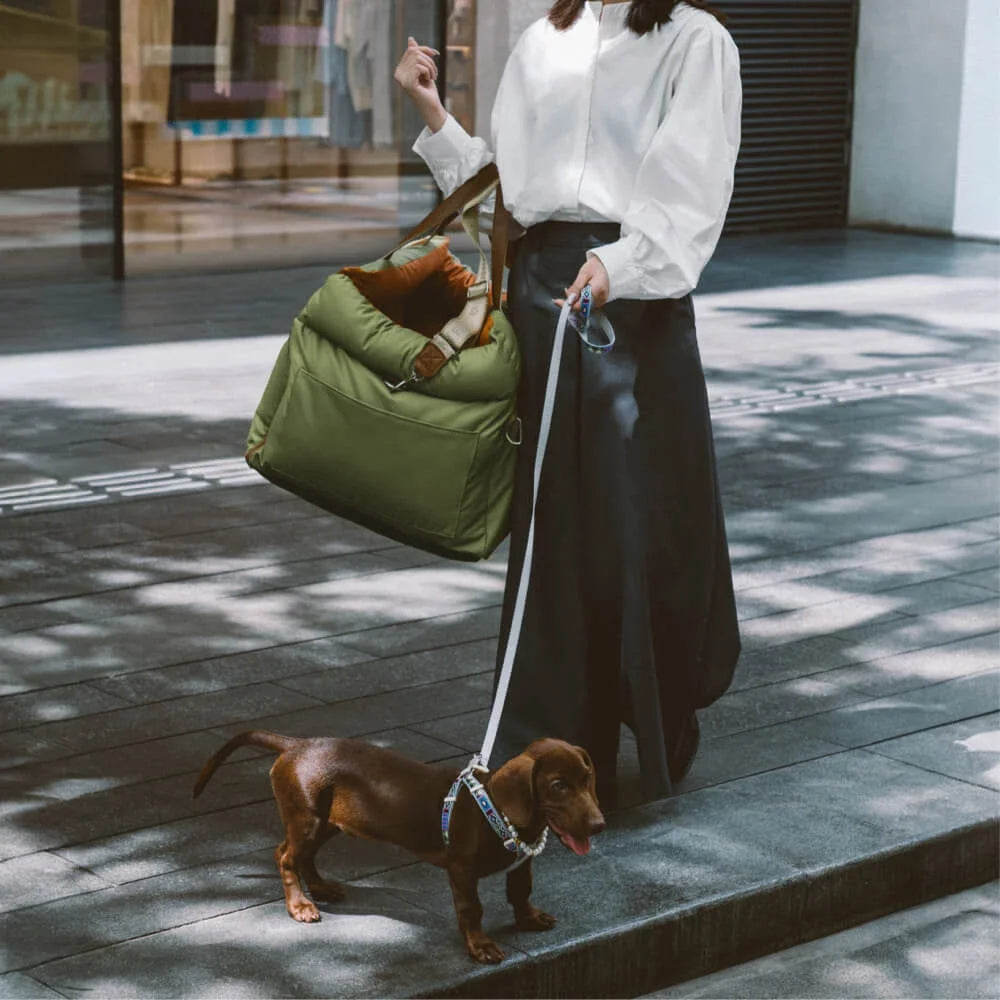 Luxury Pet Car Seat & Bed